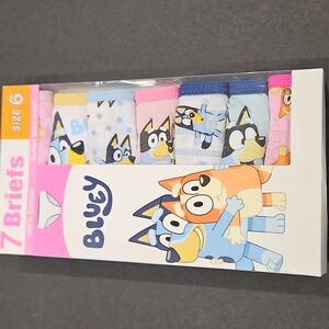 Bluey Girls Underwear (Briefs)